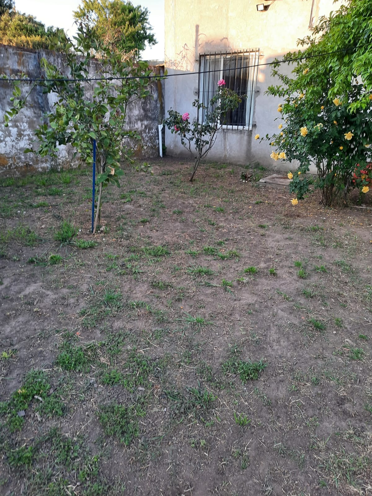 Imagen destacada